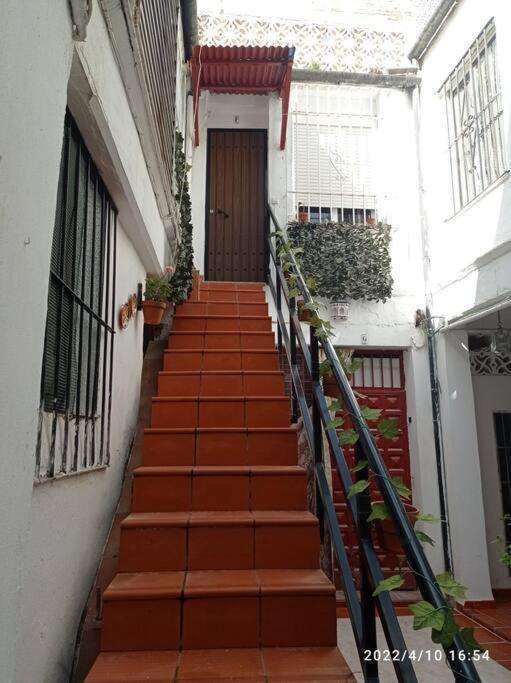 Precioso Loft En El Centro De Cordoba. Apartment Exterior photo